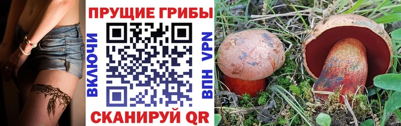 Псилоцибиновые грибы Cubensis  Ялта 
