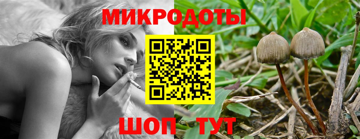 Псилоцибиновые грибы Psilocybine cubensis Ялта